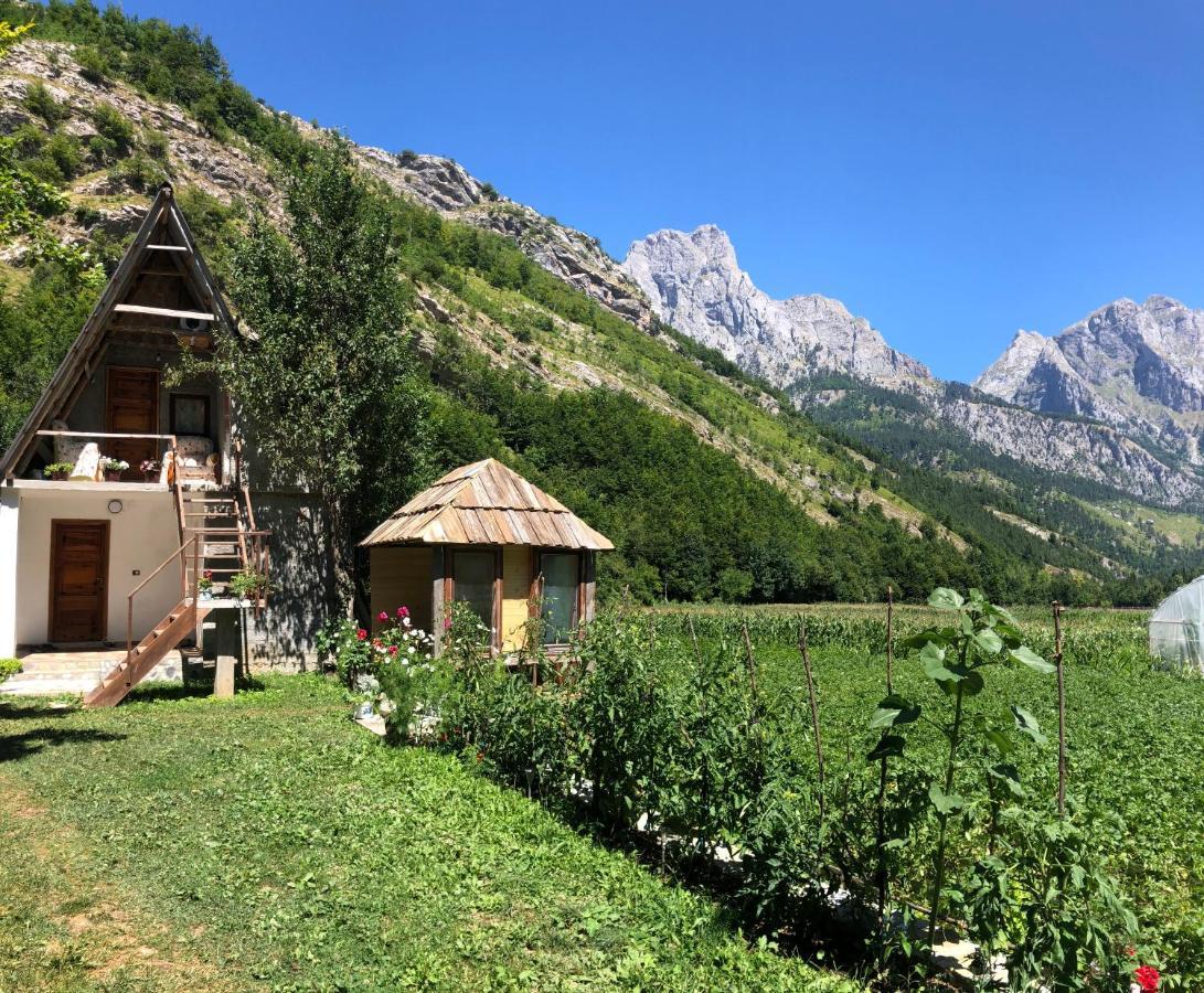 Guest House Ledio Valbone Exterior photo